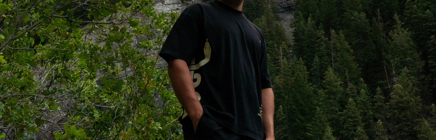 The Healing Serpent-Heavyweight Cotton Tee